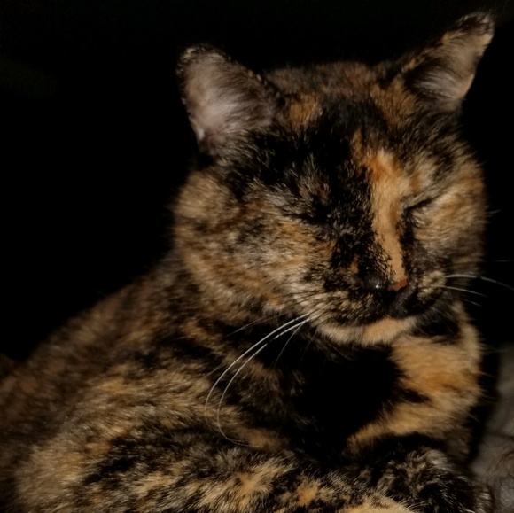 Meet your Posher, Patricia - Picture 1 of 1